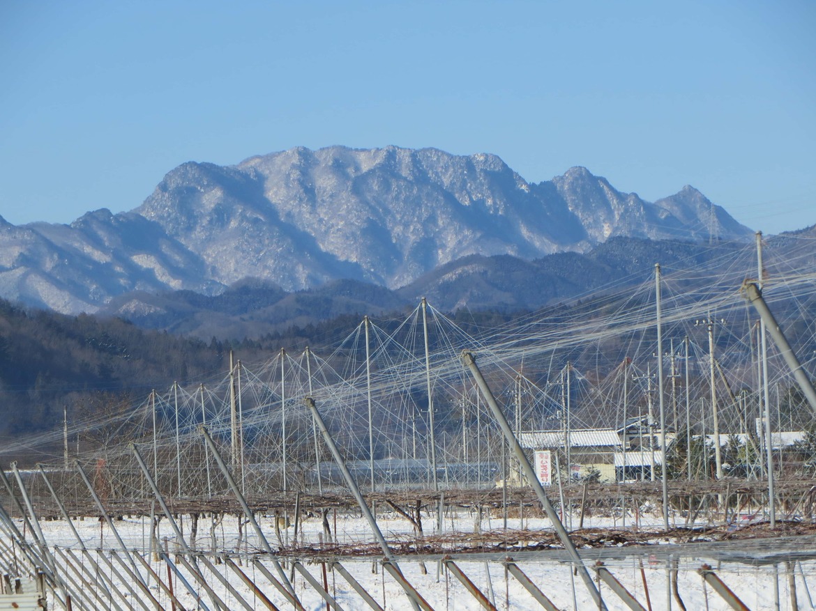 ブドウ棚と両神山