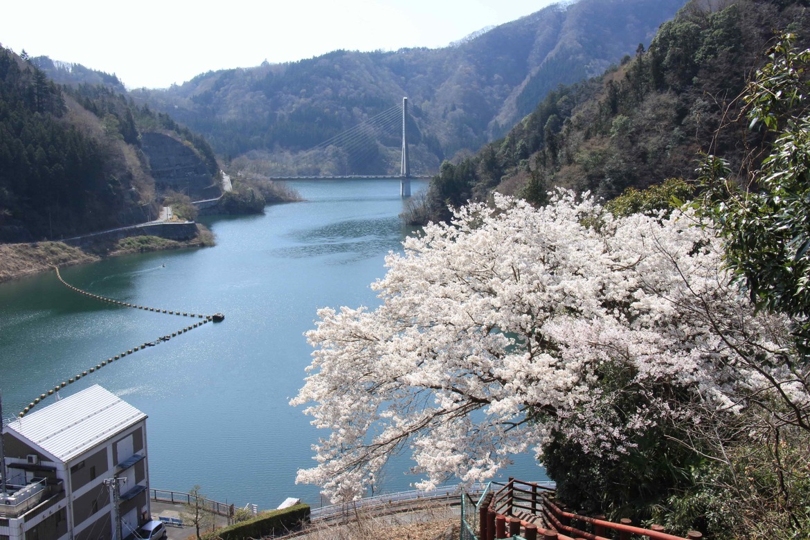 花咲く