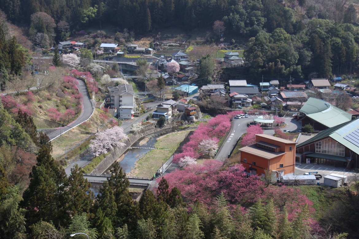 元気村
