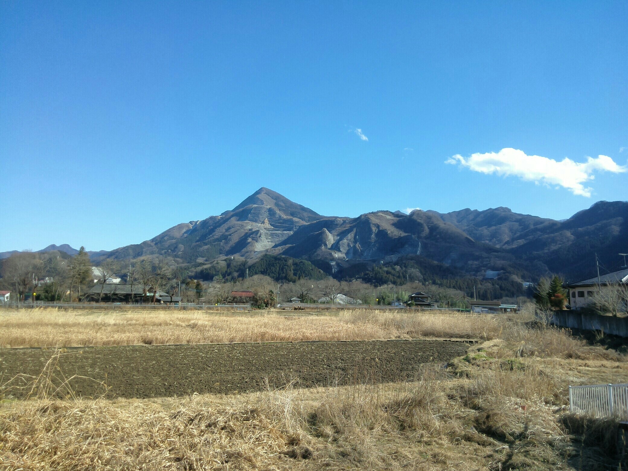 秩父市、くな、から見た早春の武甲山