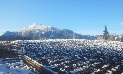 秩父市、雪化粧した芝桜の丘と武甲山