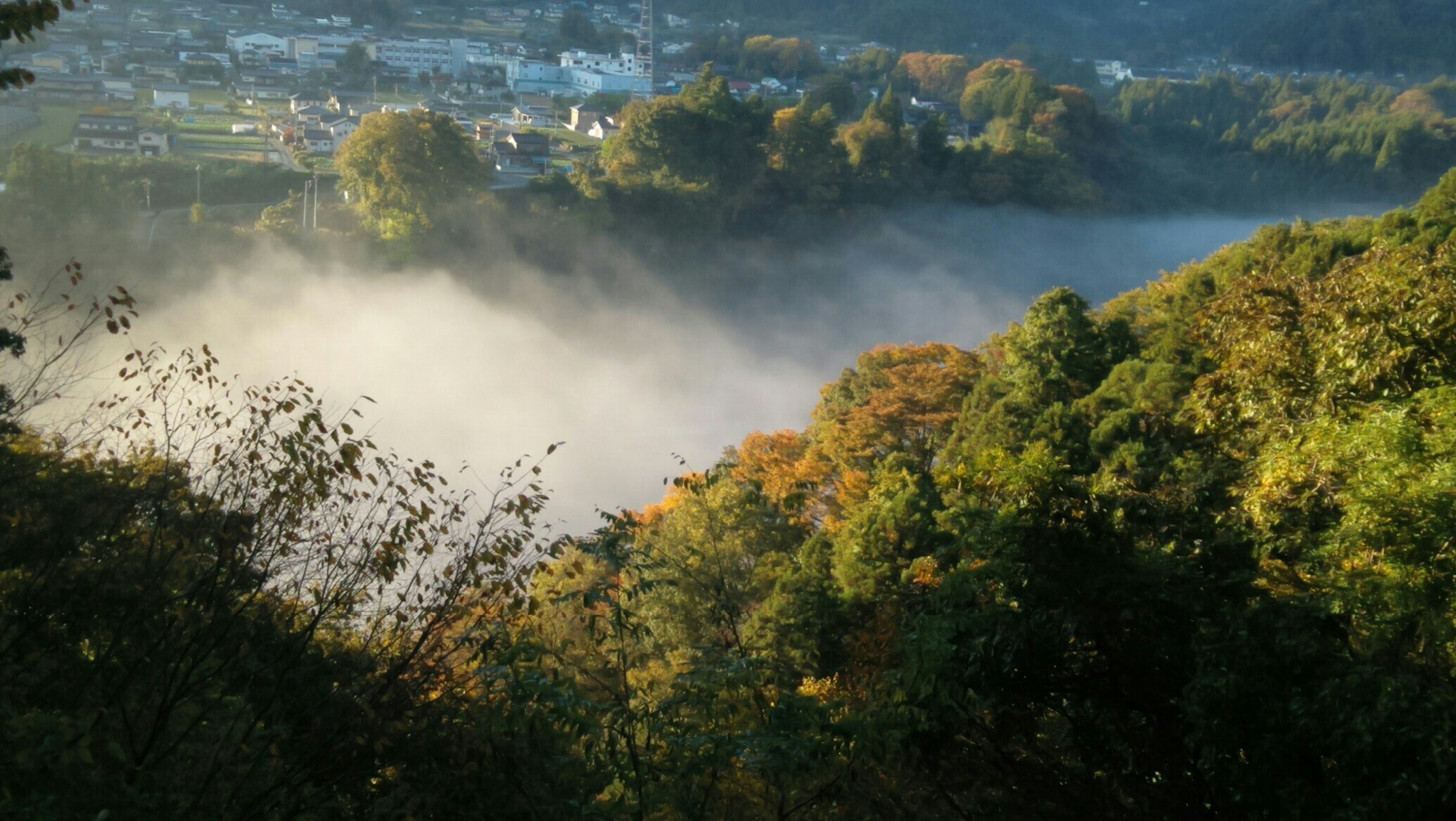 くな、ののうえ区から見た霧の荒川渓谷