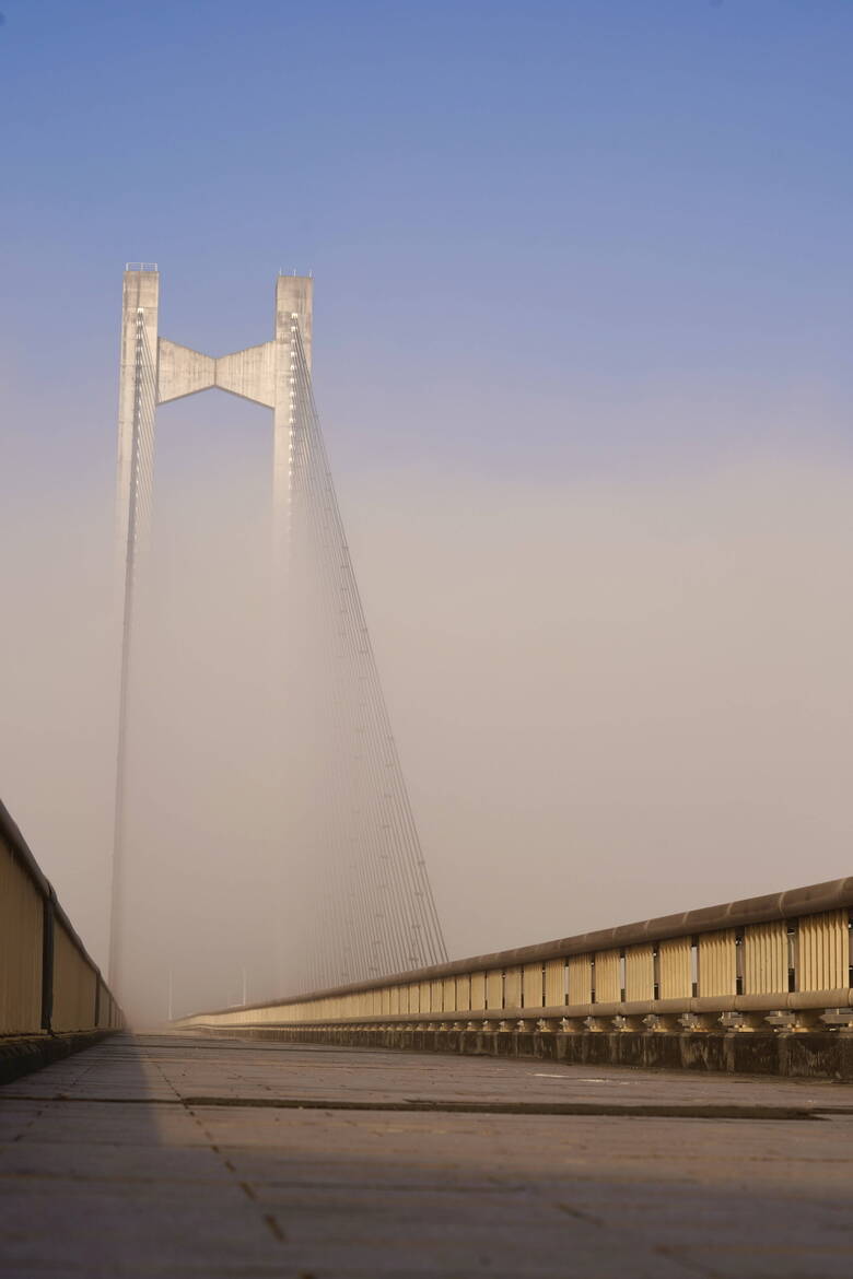 霧の中のハープ橋