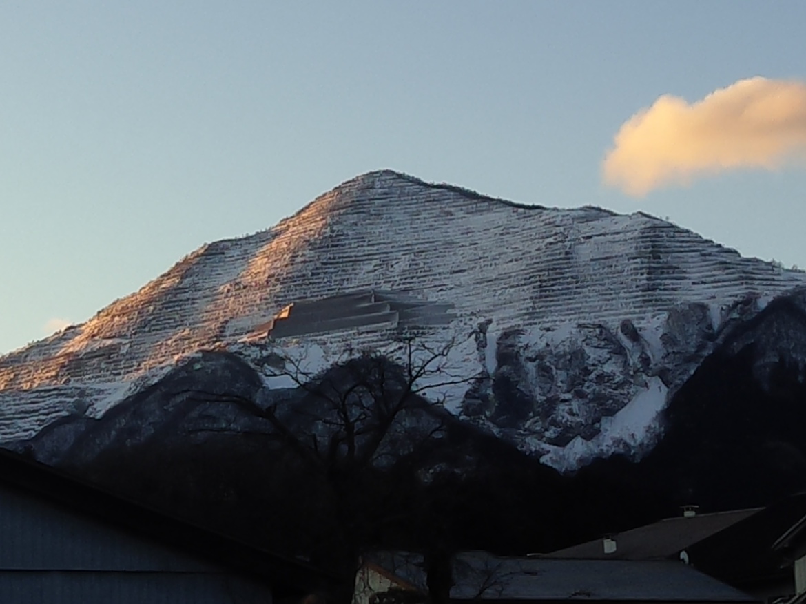くな、弁天池のはす