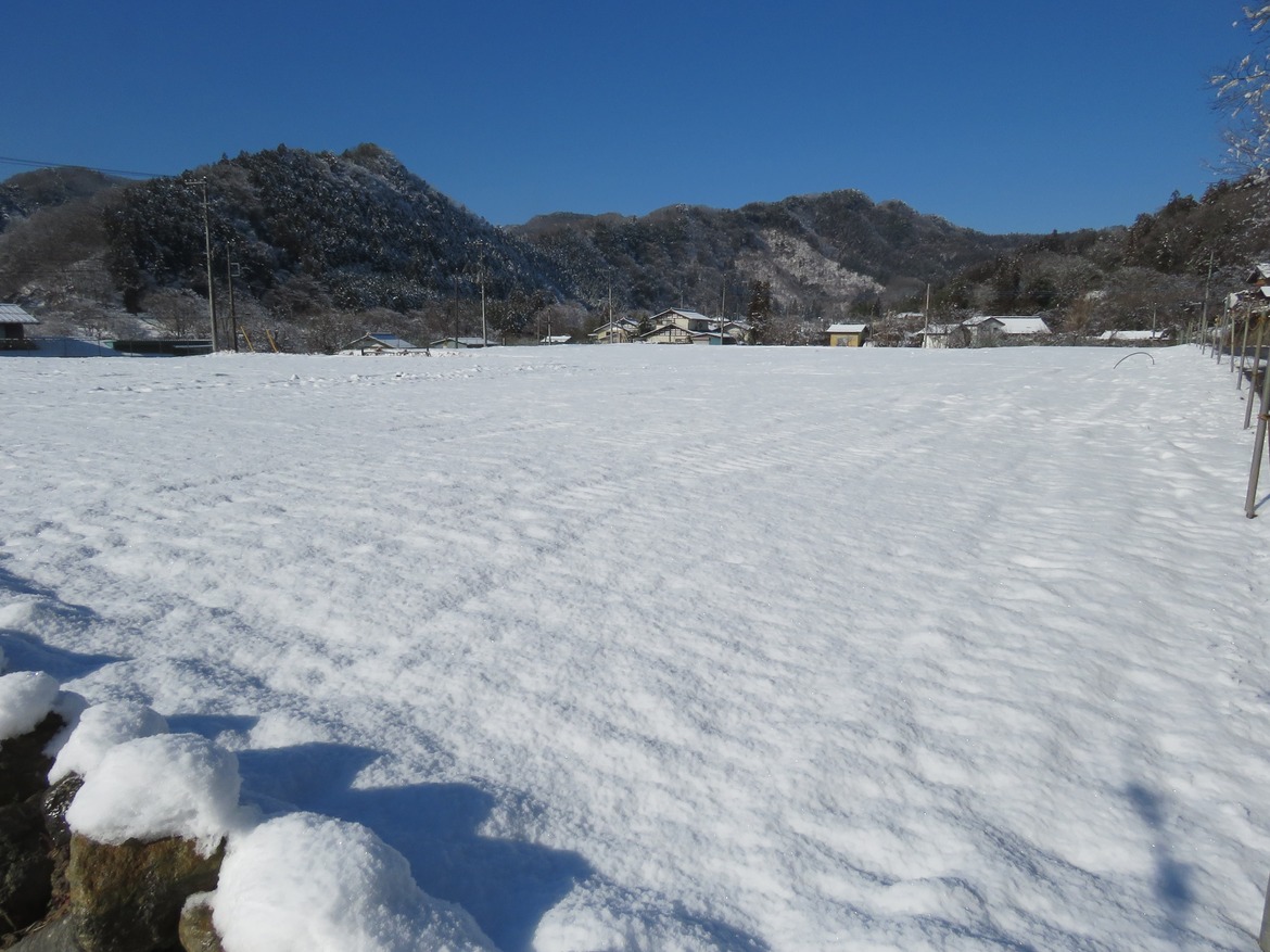 2022年2月更地