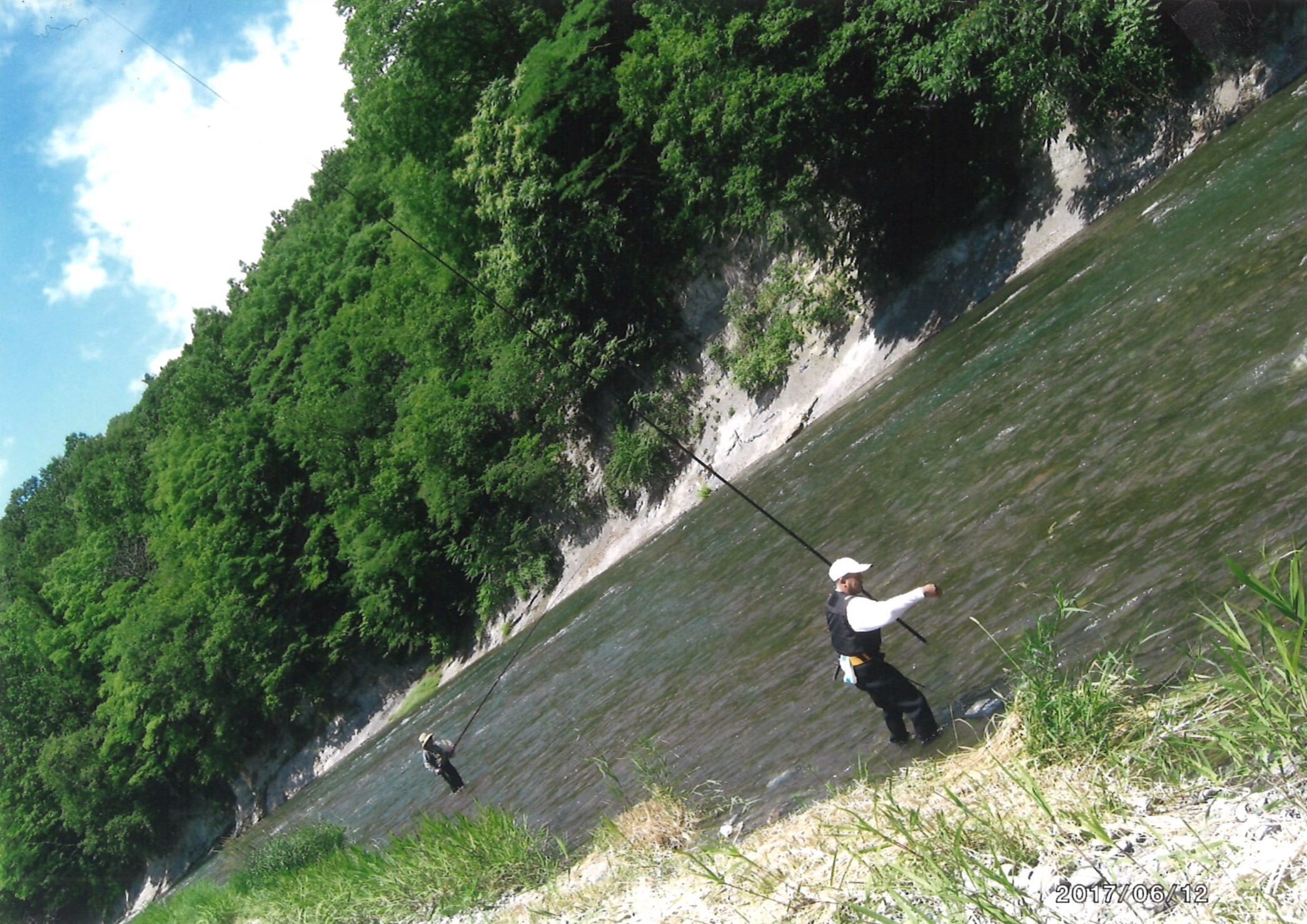 アユの友釣り