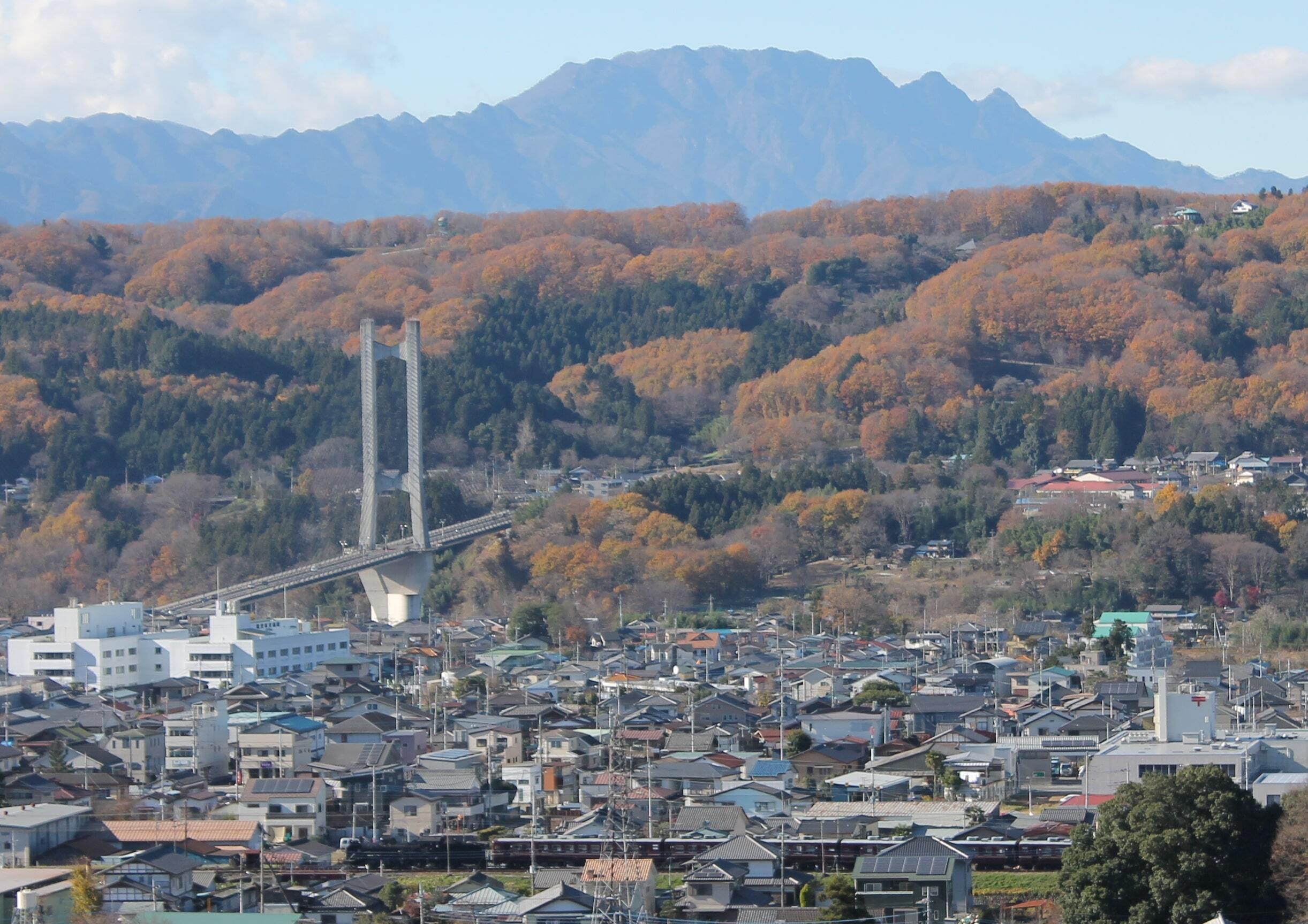 晩秋