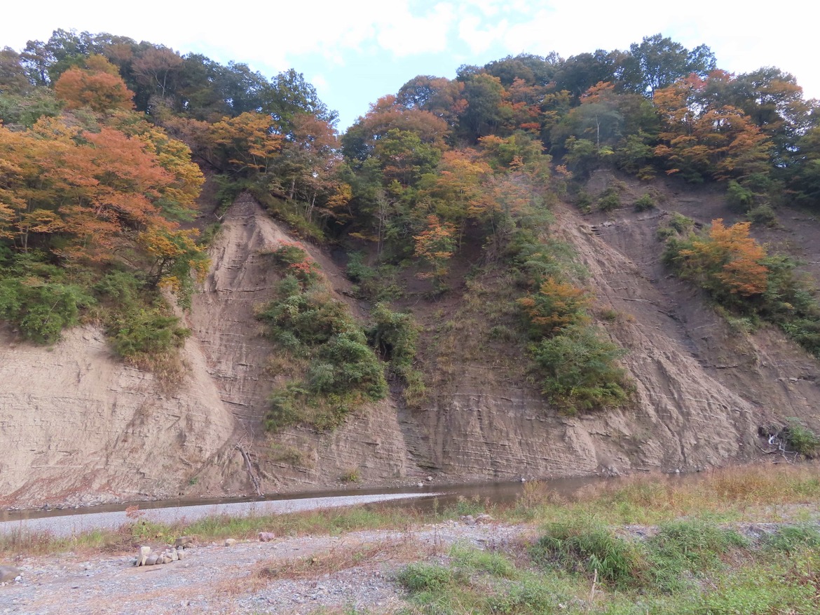 取方の大露頭