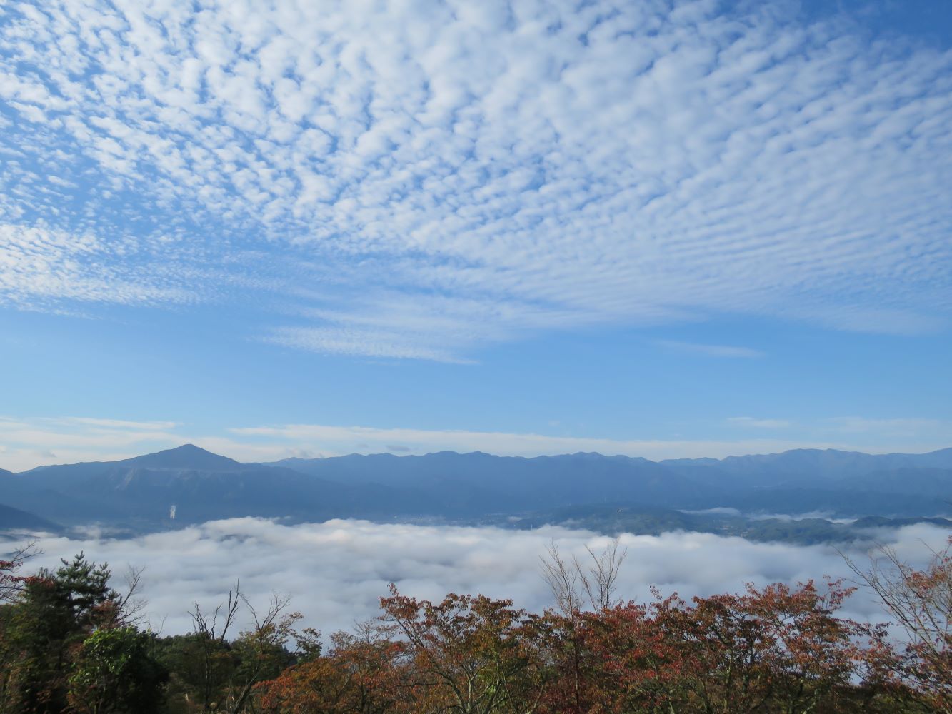 ウロコ雲と雲海