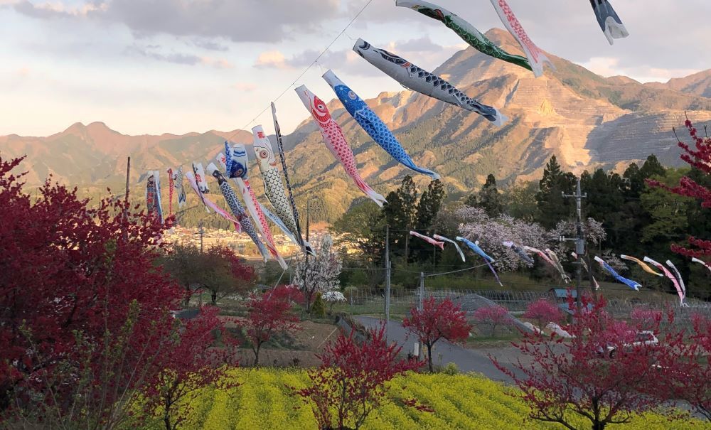 武甲山と鯉のぼり