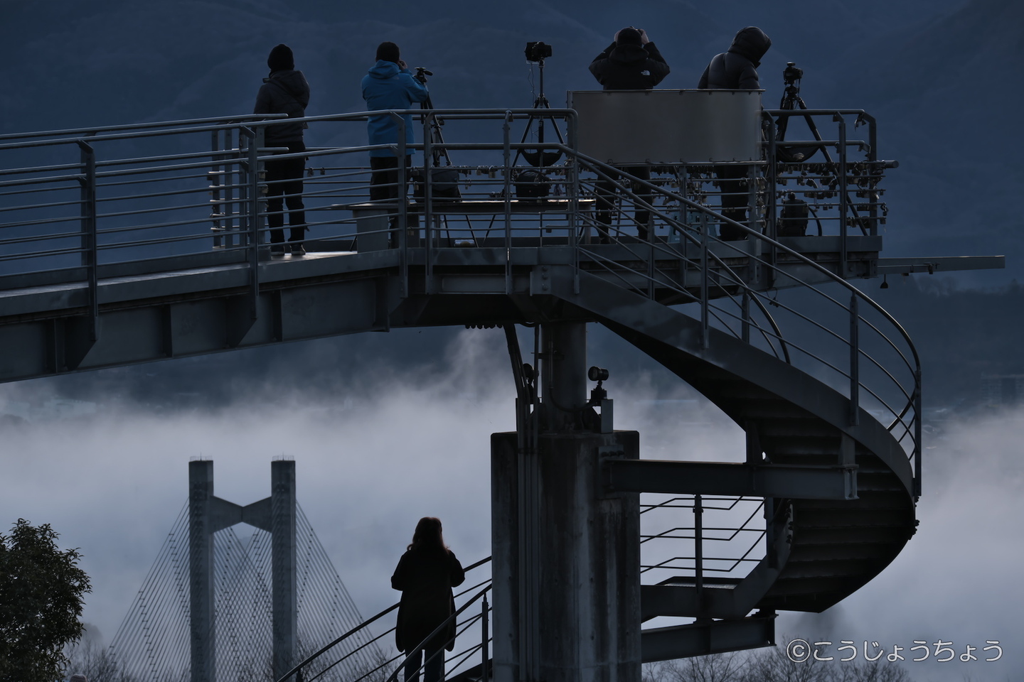 後から失礼します。