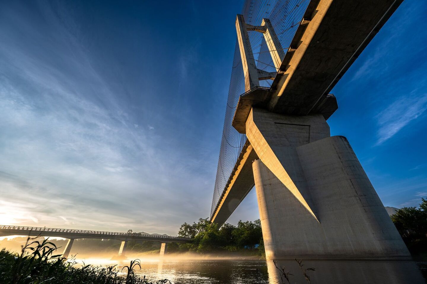 夜明けの公園橋
