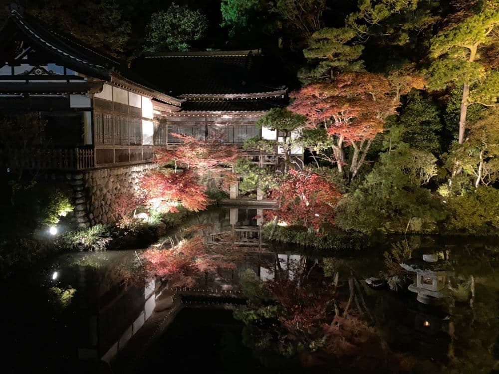 宝登山神社ライトアップ