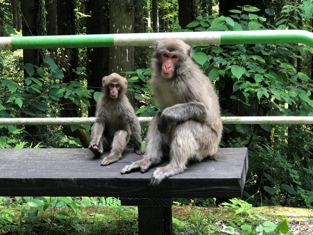 34親子でポーズ