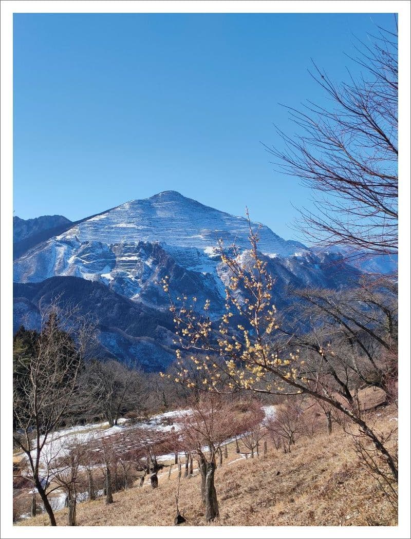 55武甲山