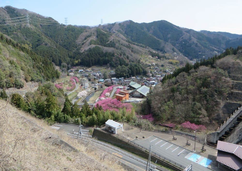 75元気村