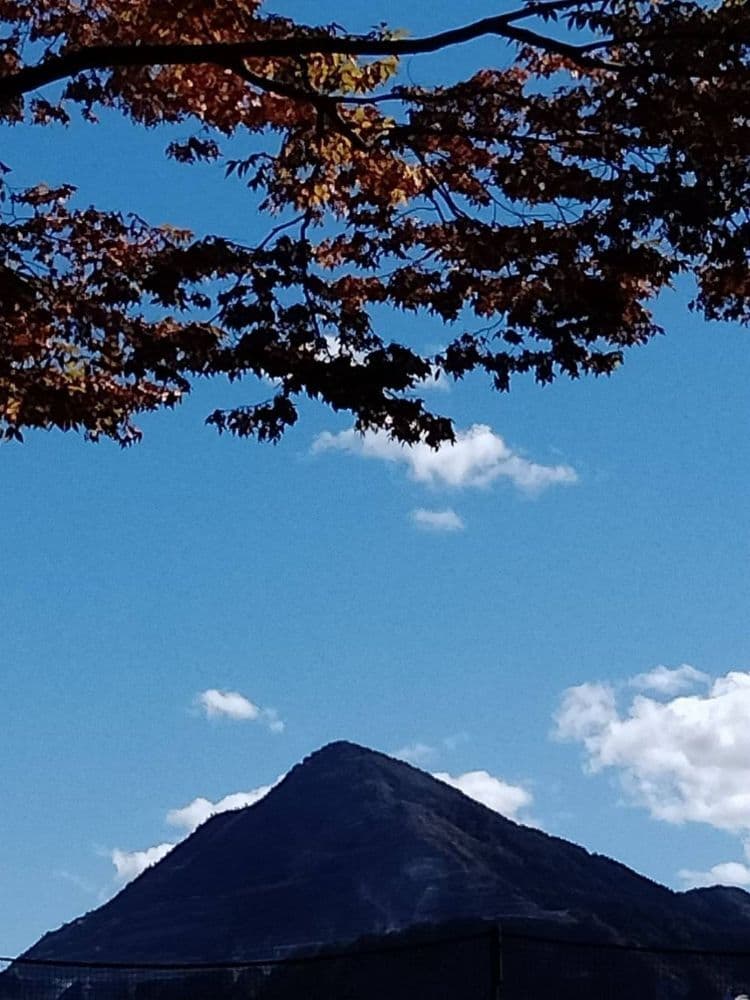 92秋の武甲山