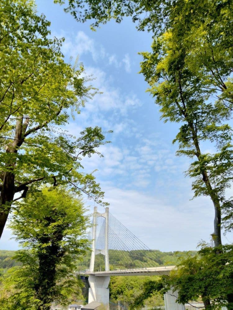 102春の公園橋